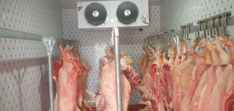 walk-in freezer with hanging meat carcasses for cold storage
