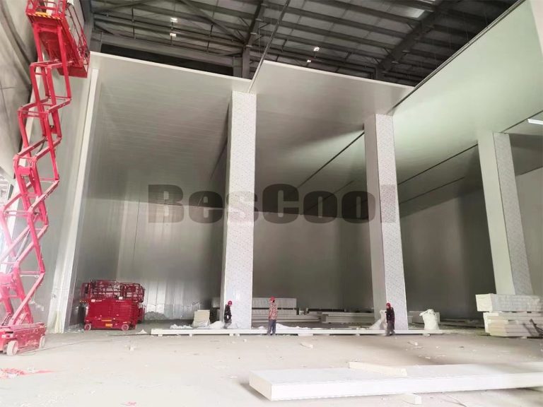 Commercial cold room installation — BesCool